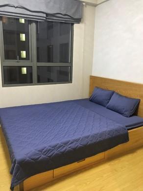 masteri thao dien apartments for rent in district 2 hcmc D2141898 (5)